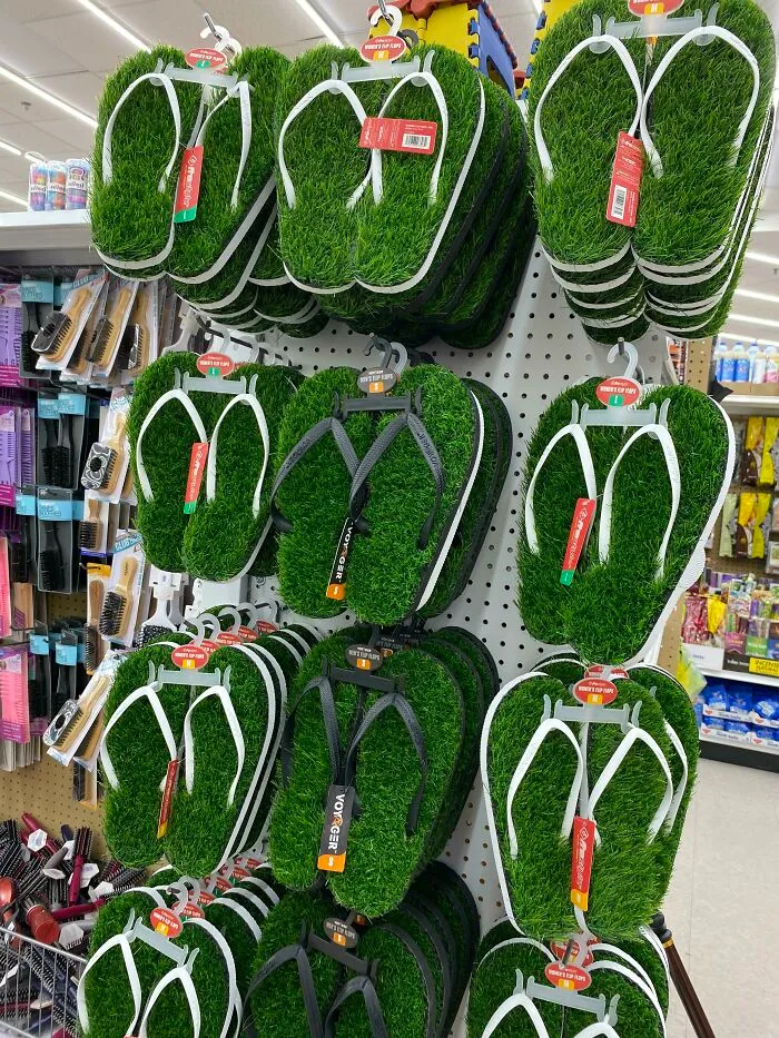 Fui a la tienda de un dólar y encontré chanclas de hierba…
