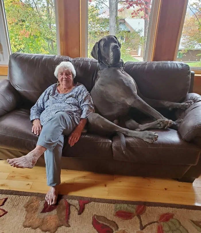 Mi abuela y su gran nieto