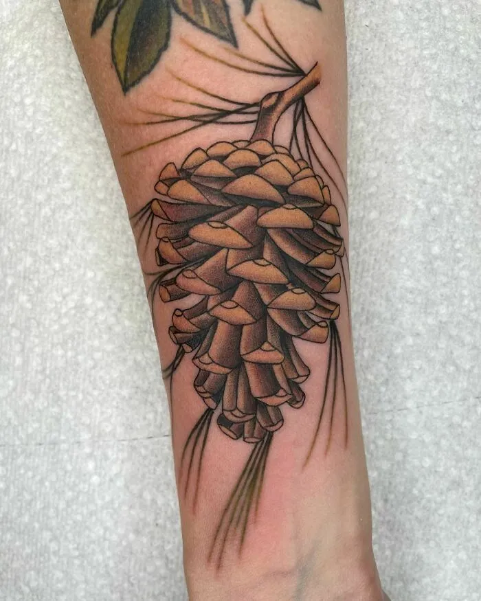 Nature tattoo of a detailed pine cone on a forearm, showcasing intricate designs inspired by Mother Earth.