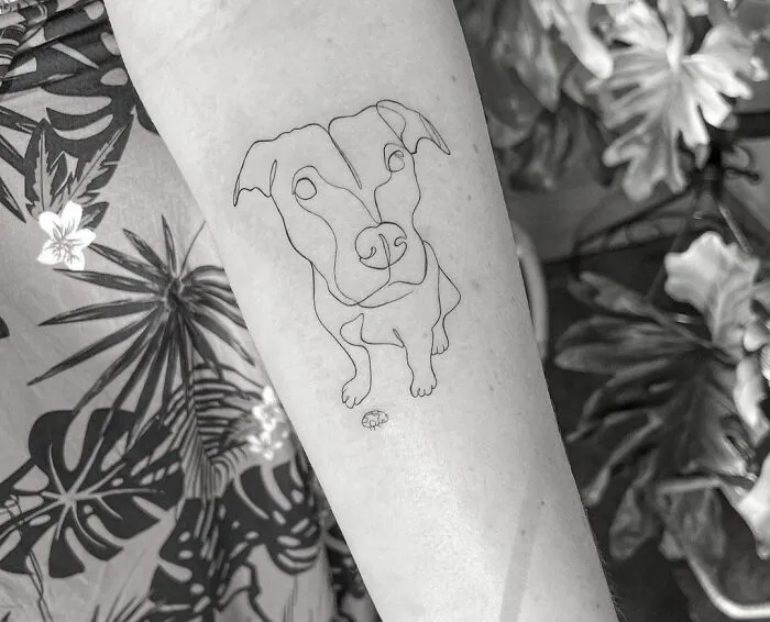 A Portrait Of Dog
