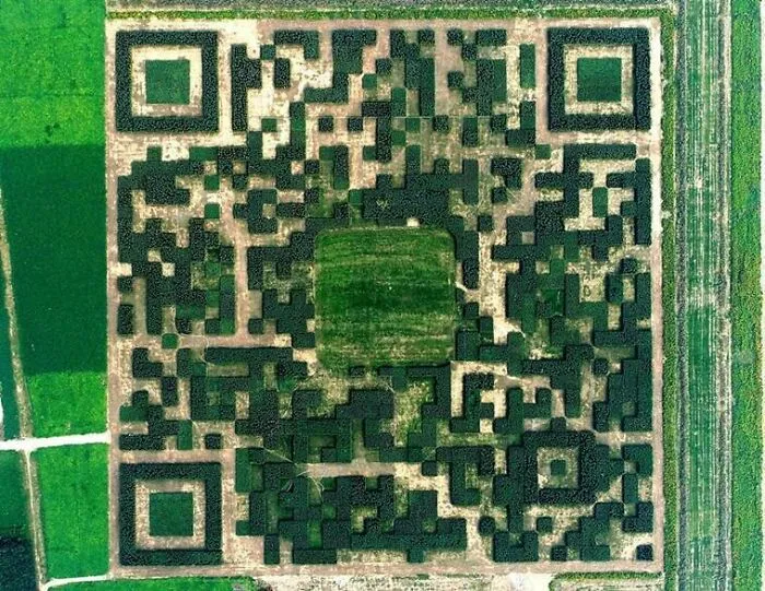 In An Effort To Boost Tourism The Xinhua Village In China Built A Giant Qr Code From 130,000 Trees So It Can Be Scanned By Passing Planes