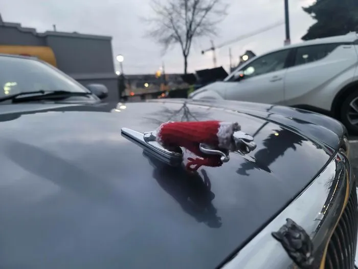 Alguien ha tejido un jersey al emblema de su coche