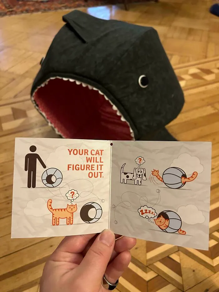 Cat Bed Instructions: “Your Cat Will Figure It Out”