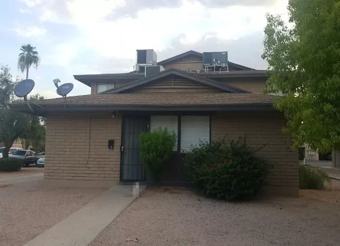 Streetview Censored This Cat For His Privacy