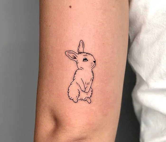 Little Rabbit
