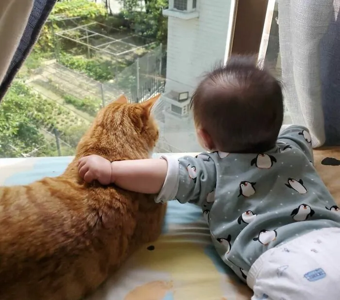 Watching The Scenery Together 