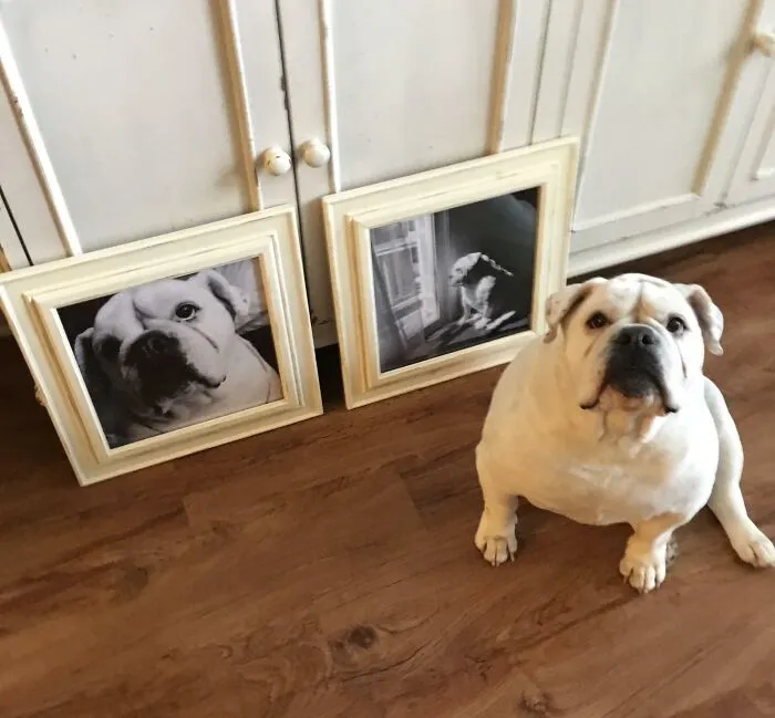 Girlfriend Brought Home Some New Decor... I Think This One Approves