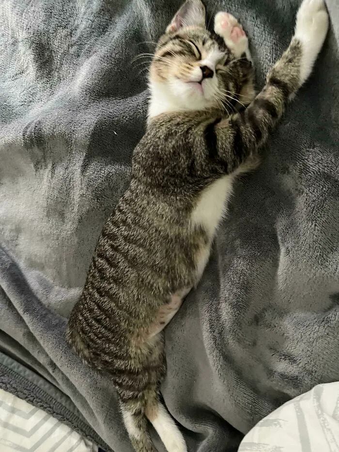 I Adopted Her Yesterday; I Think She Feels At Home
