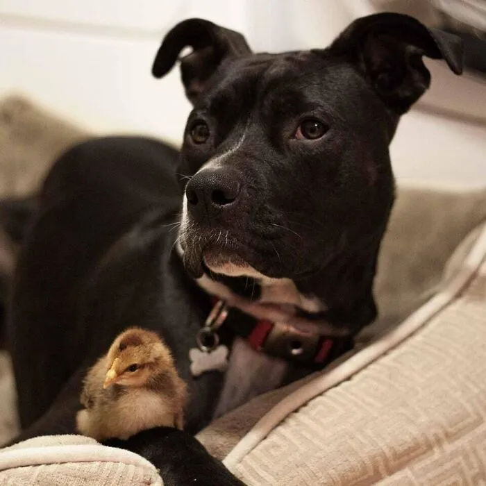 The Best Of Friends