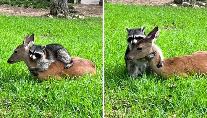 Jasper Giving His Best Friend A Sweet Hug