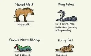 50 Funny And Satirical ‘Cool Guides’ People Shared On This Group That Contain Information They Don’t Teach At School