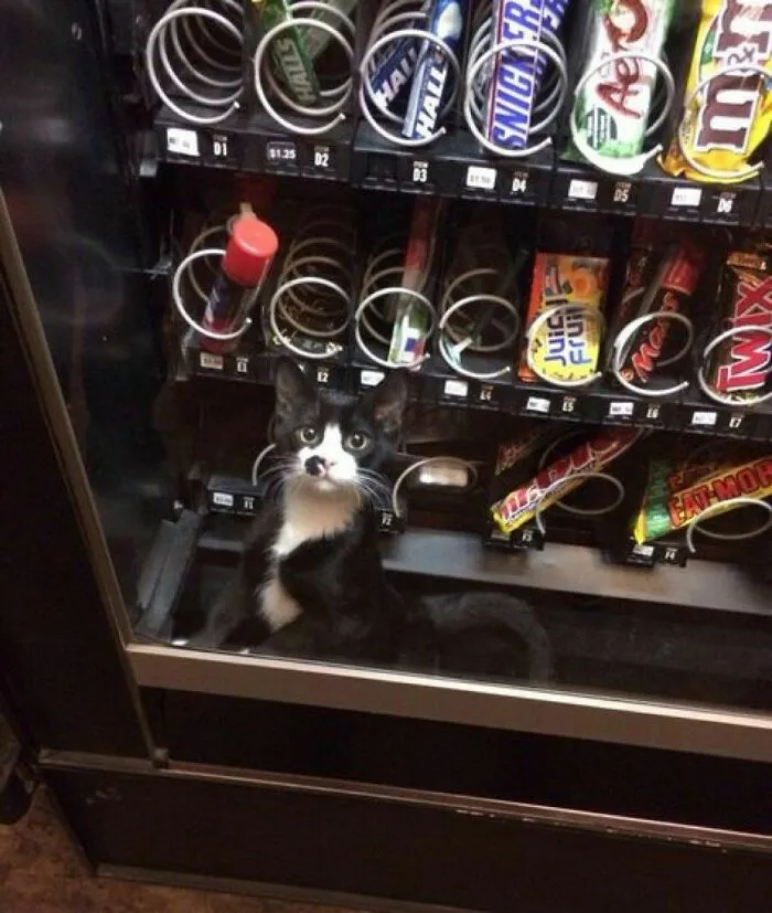 A Little Help