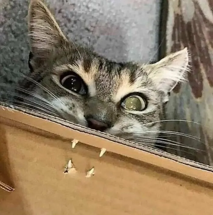 A Little Help ?