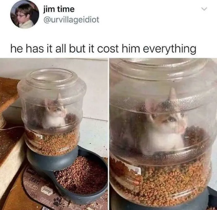 I Was Told You Guys Would Appreciate This