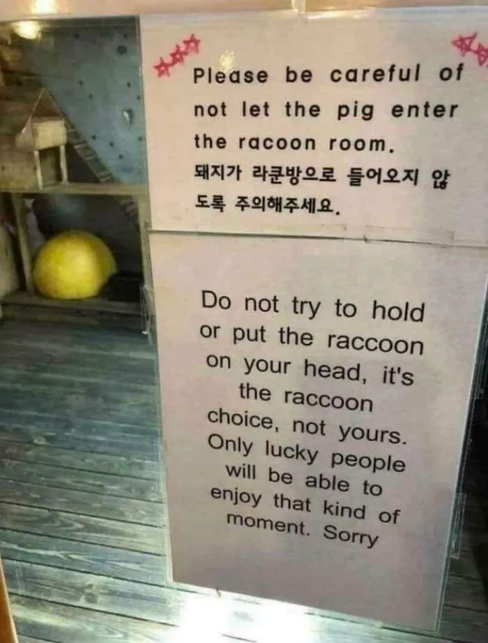 1. I Have No Idea Where This Is, And 2. I Want To Be There Immediately