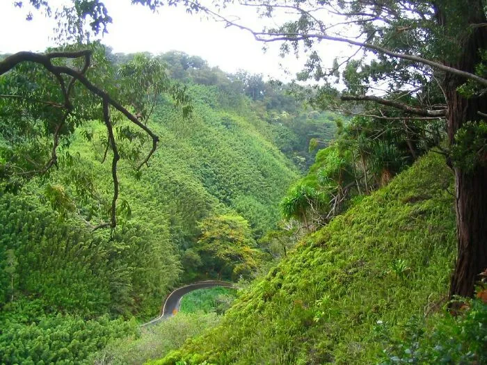 Hana Highway — Maui, Hawaii, United States