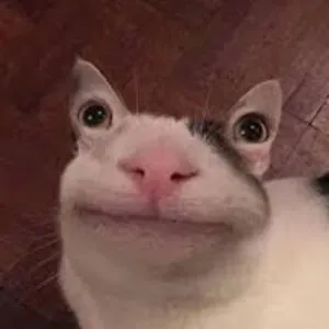 dingliusyeeeeeeeeeee
