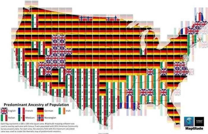 Predominant Ancestry Of Population
