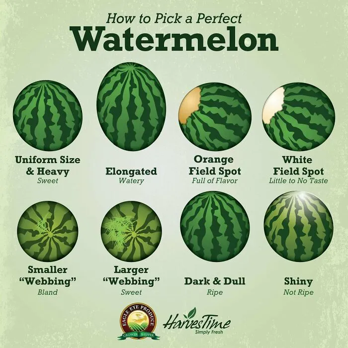 If Only We Could Get One For Avocados