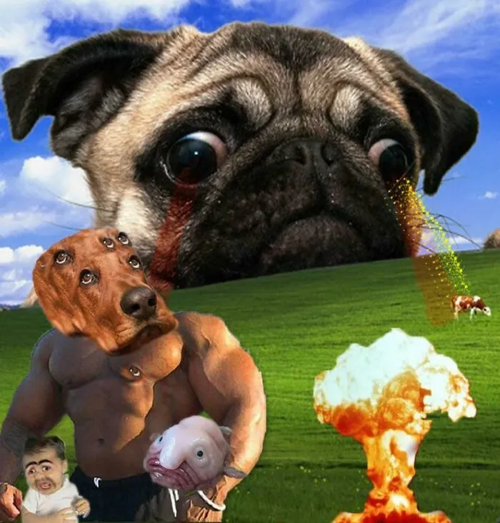 I Made This With My Son’s Direction