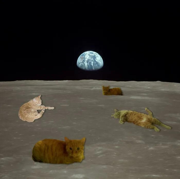 If The Moon Landing Is Real Explain This