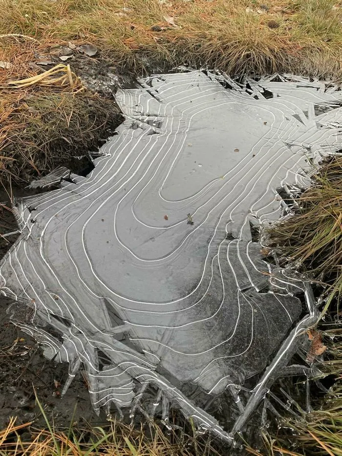 This Frozen Puddle Looks Like A Topographic Map