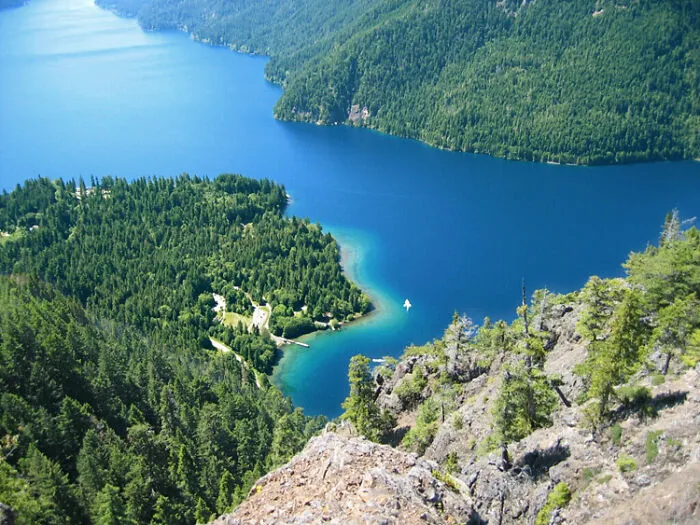 Picture of Olympic Peninsula with forests