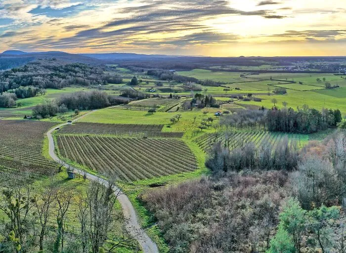 Picture of Paris to Berlin road with fields and forests