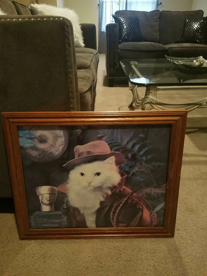 Being The Girlfriend, I Was Given The Job To Decorate Our New Home