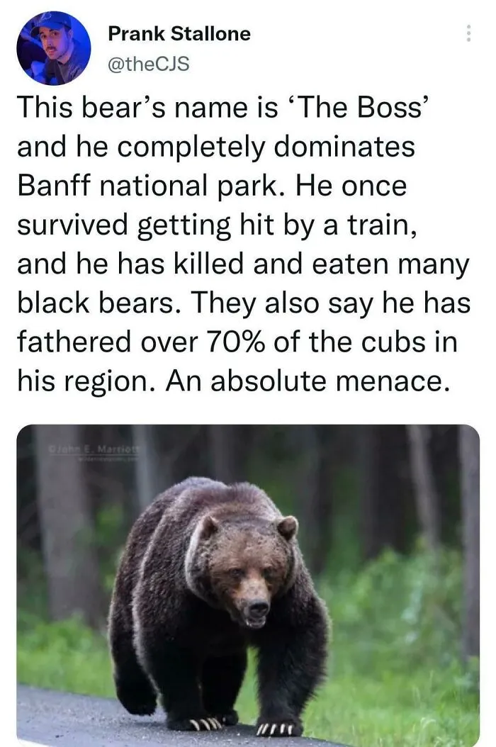 This Unit Even Survived Getting Hit By A Train