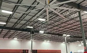 50 Times People Were Left Speechless By The Size Of Something And Shared It With The 'Absolute Units' Community (New Pics)
