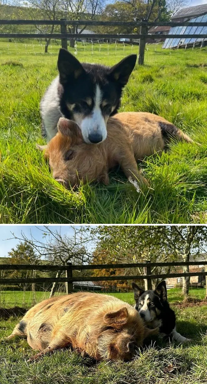 Friends Growing Up Together