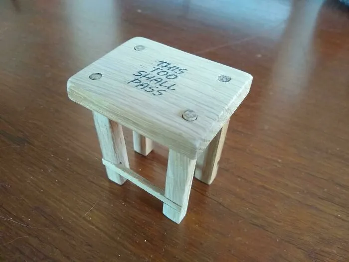 A Stool Sample