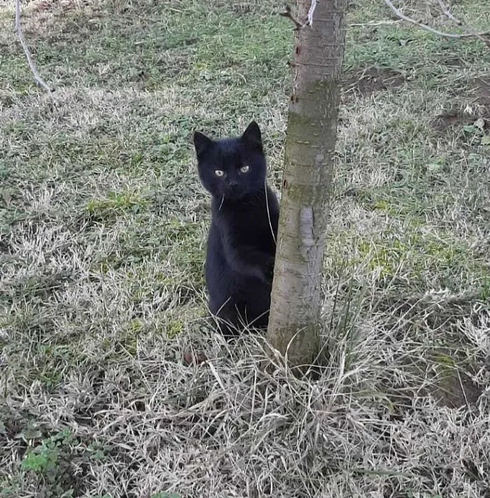 Starting To Suspect That I Actually Adopted A Black Bear Cub