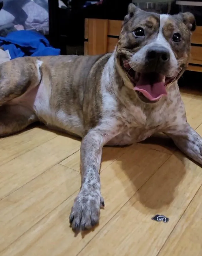 Rescued This Beautiful Baby Today