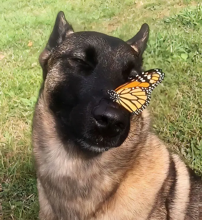 Looks Like He Made A New Friend