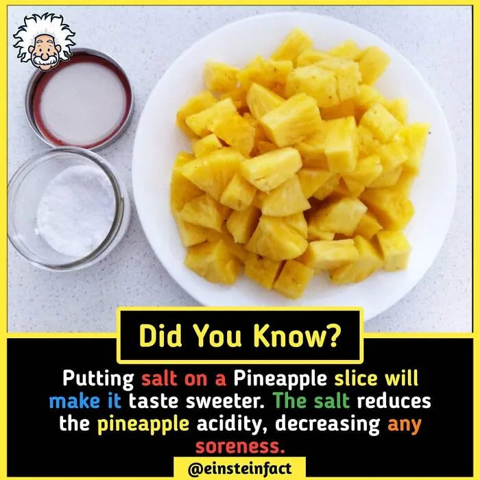 "Did You Know?": 30 Interesting Facts About The World You Probably Didn't Learn At School