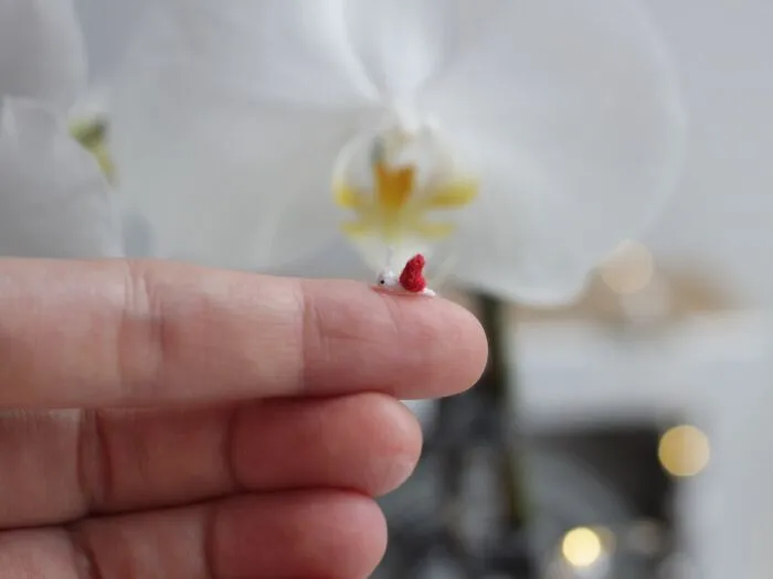 Tiny Snail