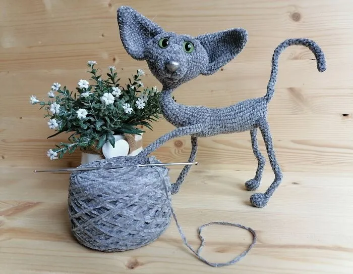 Gray Cat