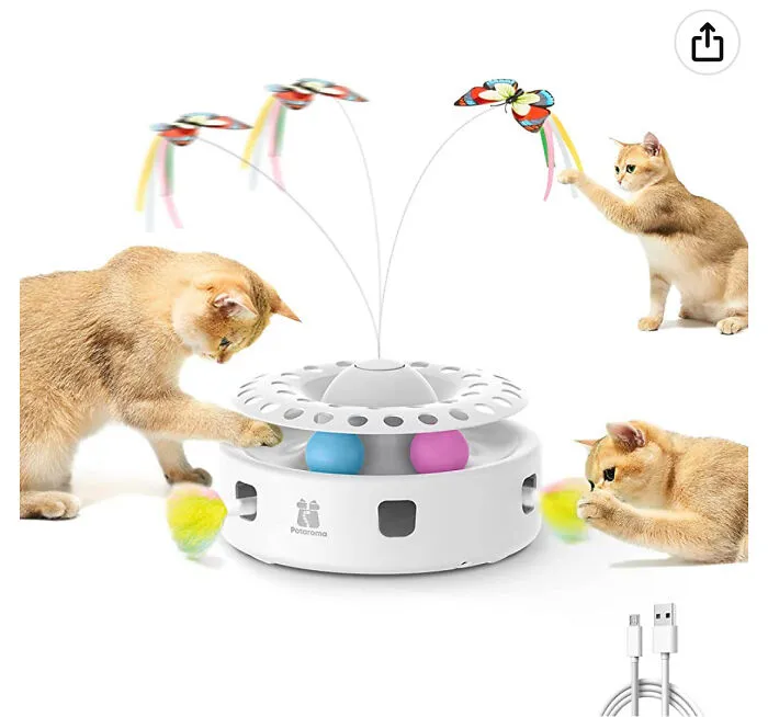 I Want A Tiny Magic Cat!!!