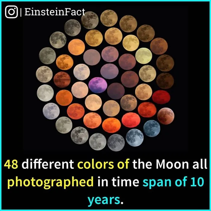 "Did You Know?": 30 Interesting Facts About The World You Probably Didn't Learn At School