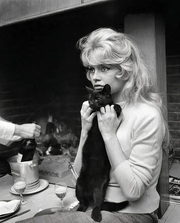 French Actress And Activist Brigitte Bardot In The Photograph Taken In 1959, France