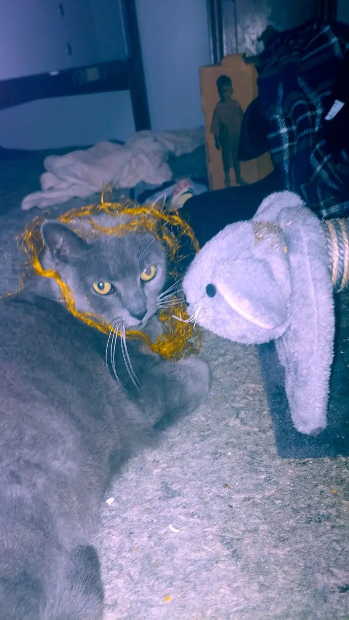 My Plushy Girl Baba Yaga Think She's A Lion