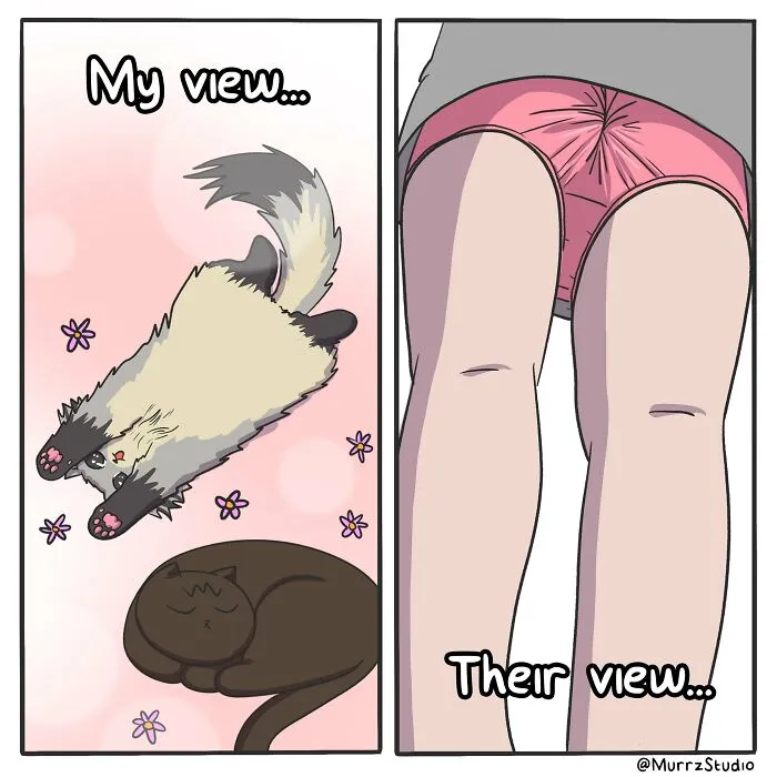 30 New Comics That Show The Hilarious Side Of Everyday Life, Relationships And Living With A Feline By Murzz