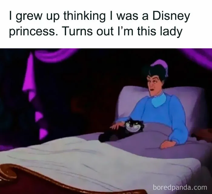 “Sarcasm Only”: 50 Hilariously Unhinged Memes That May Tickle Your Funny Bone (New Pics)