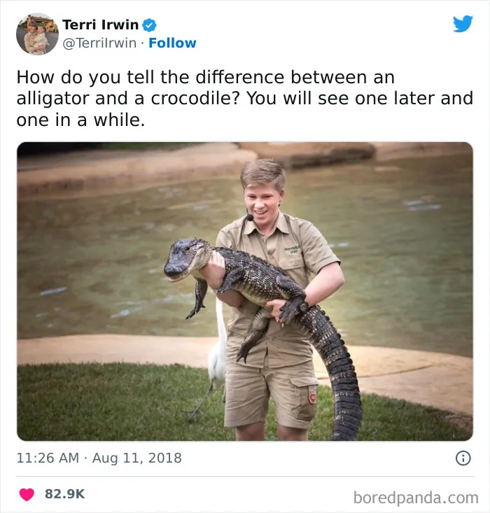 81 Of The Most Australian Tweets We Had The Pleasure To Read