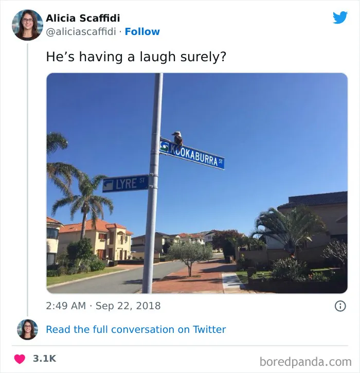 81 Of The Most Australian Tweets We Had The Pleasure To Read