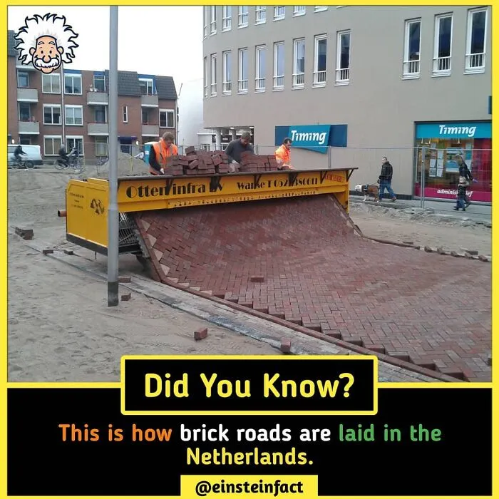 "Did You Know?": 30 Interesting Facts About The World You Probably Didn't Learn At School