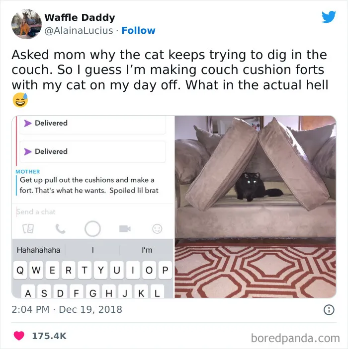 50 Of The Most Hilarious Cat Tweets Ever (New Pics)