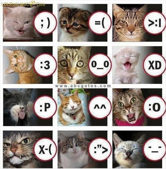 35 Memes From "A Forgotten Era Of The Internet" That Are Still Funny And Getting Funnier With Time, Shared By This Twitter Account